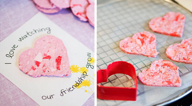 Seed Paper - Making a Valentine’s Day Gift