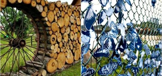 12 Unusual Fences That Will Decorate Any Home