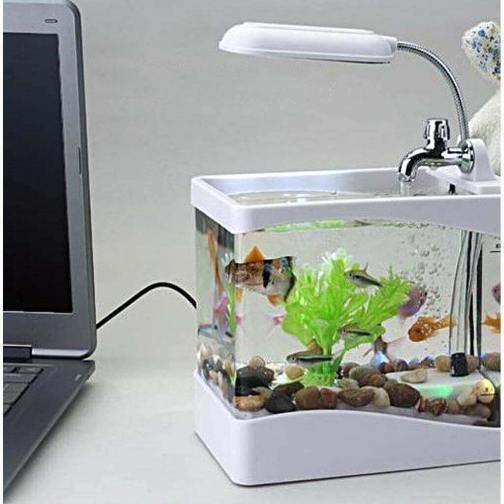 Best Mini Fish Tank with Water Running Pump Buy on Amazon